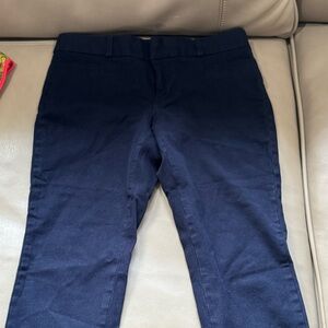 BANANA REPUBLIC Navy Blue Pants